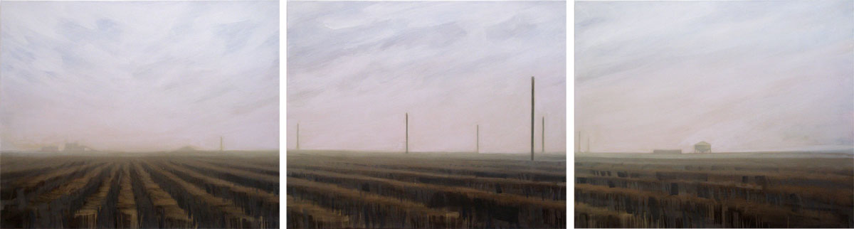 wind, dust and speed
